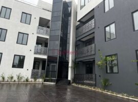 2&3 Bedroom Apartment for Rent, East Airport
